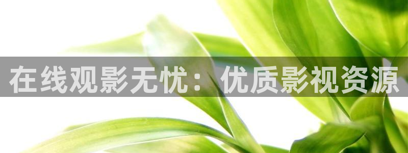 yy影院免费观看电视剧高清资源：在线观影无忧：优质影视资源