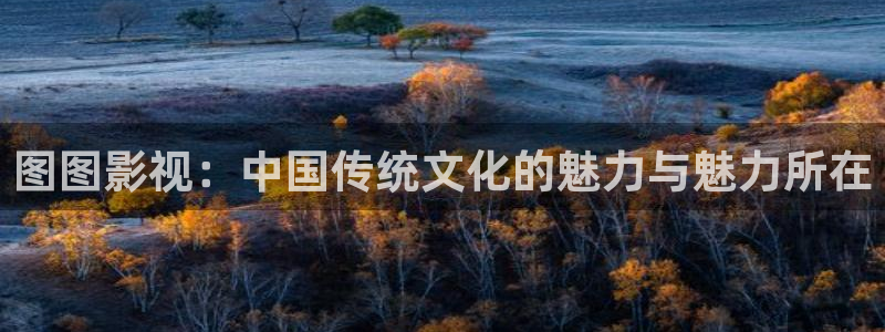 yy影院在线观看：图图影视：中国传统文化的魅力与魅力所在