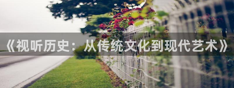 yy影院在线观看：《视听历史：从传统文化到现代艺术》