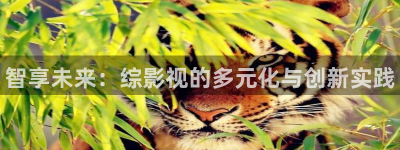yy影院在线观看免费播放电视剧大全网：智享未来：综影视的多元化与创新实践