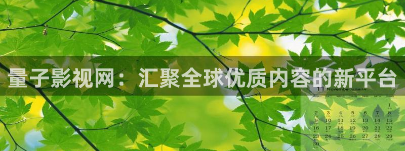 91yy影院在线播放：量子影视网：汇聚全球优质内容的新平台