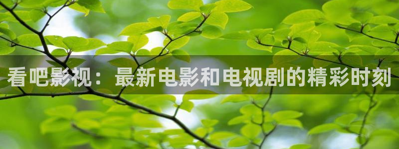 yy影院最新电视剧：看吧影视：最新电影和电视剧的精彩时刻