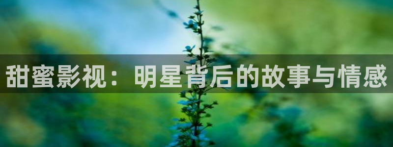 51yy影院：甜蜜影视：明星背后的故事与情感