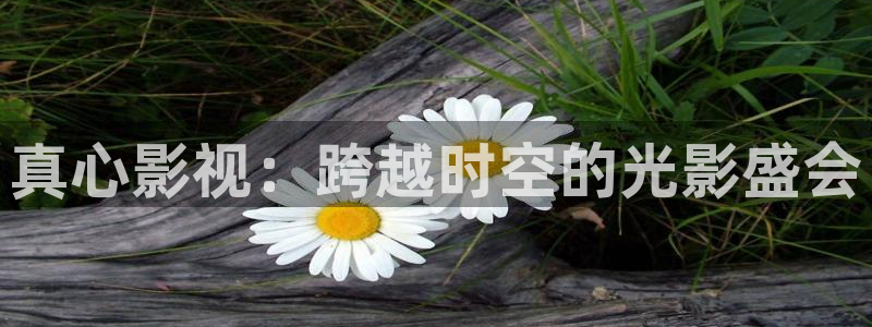 yy影院4080影院：真心影视：跨越时空的光影盛会