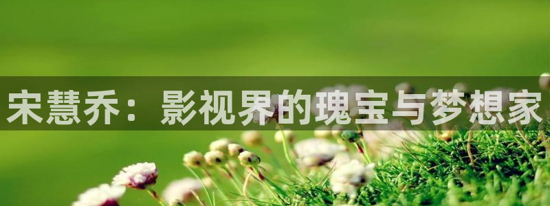 yy影院电视剧免费播放：宋慧乔：影视界的瑰宝与梦想家