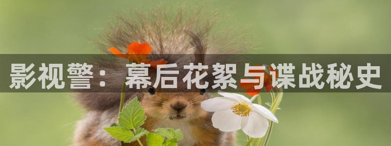 yy影院在线观看免费高清：影视警：幕后花絮与谍战秘史