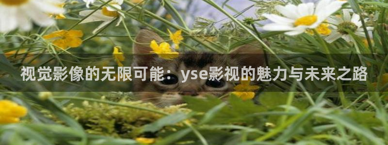 殇情4yy影院：视觉影像的无限可能：yse影视的魅力与未来之路