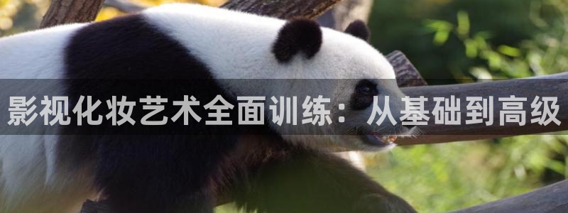 yy影院在线观看：影视化妆艺术全面训练：从基础到高级